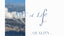 3. ART of Life - Quality